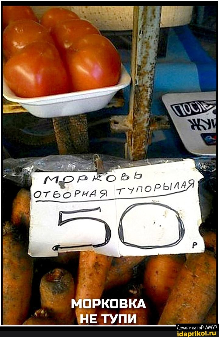 ФР
МОРКОВКА НЕ ТУПИ