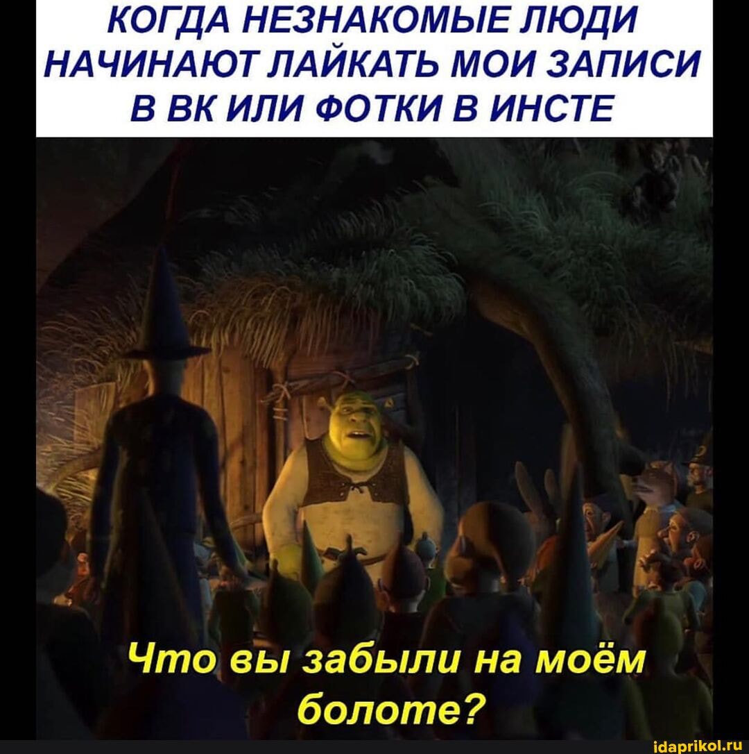 КОГДА НЕЗНАКОМЫЕ ЛЮДИ НАЧИНАЮТ ЛАИКАТЬ МОИ ЗАПИСИ
В ВКИЛИ ФОТКИ В ИНСТЕ
Что вы забыли на моём болоте?