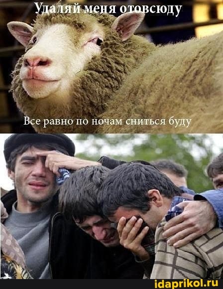 Удаляй меня отовсищу
Все равно по ночум свитьзя