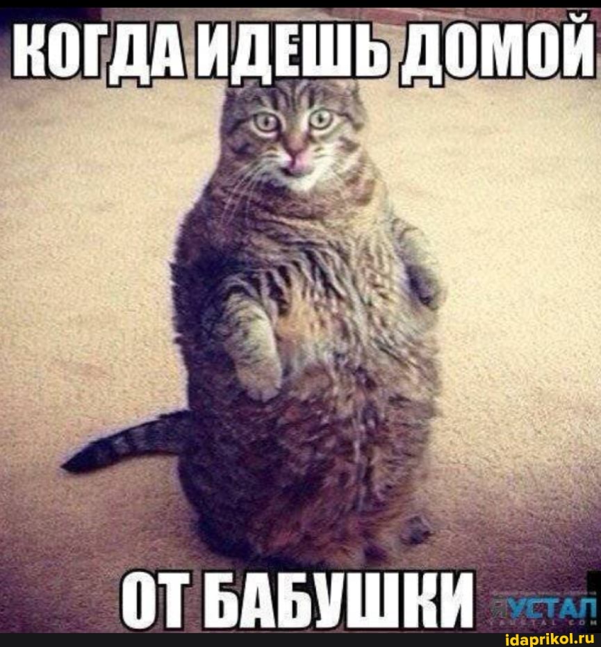 КОГДА ИДЕШЬ ДОМОИ
ОТБАБУШЕИЙ