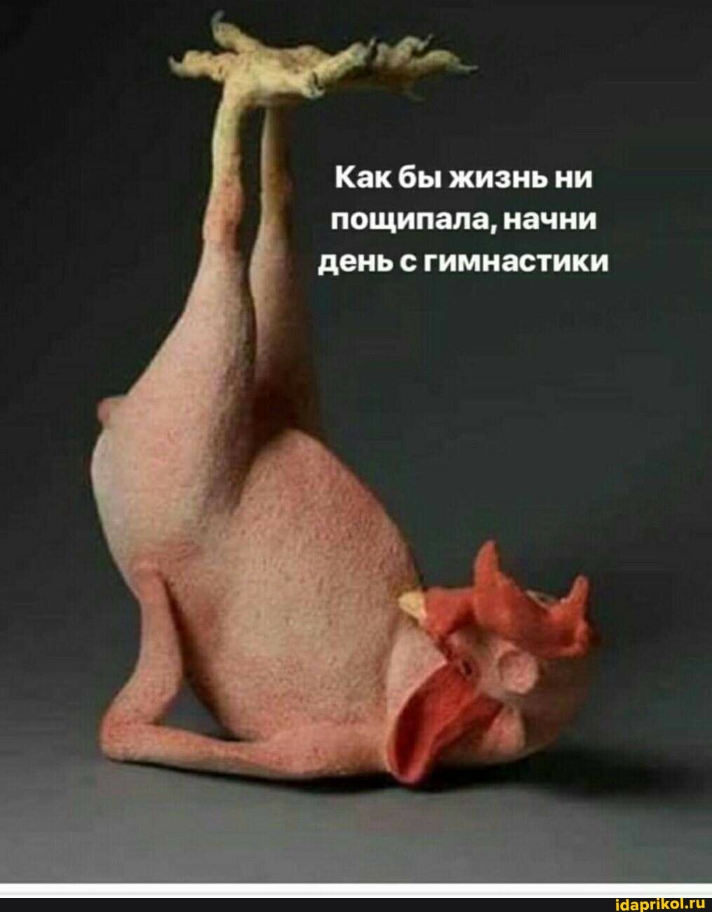 Как бы жизнь ни пощипала, начни день с гимнастики