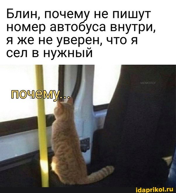 Блин, почему не пишут номер автобуса внутри, я же не уверен, что я сел в нужный