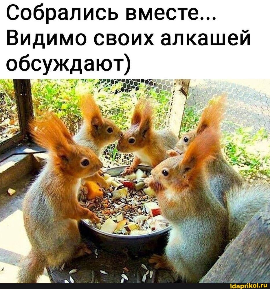 Собрались вместе...
Видимо своих алкашей
обсуждают)
