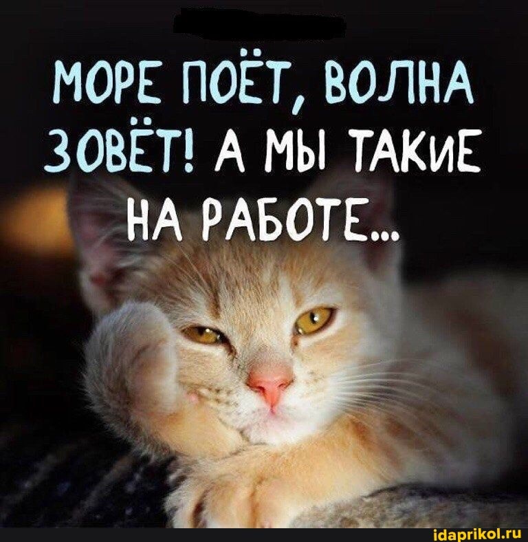 МОРЕ ПОЁТ, ВОЛНА ЗОВЕТ! А МЫ ТАКИЕ НА РАБОТЕ..