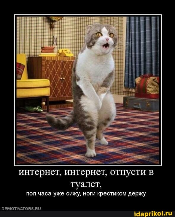 интернет, интернет, отпусти в
туалет, пол часа уже сижу, ноги крестиком держу
ОЕМОТМАТОВ$.
