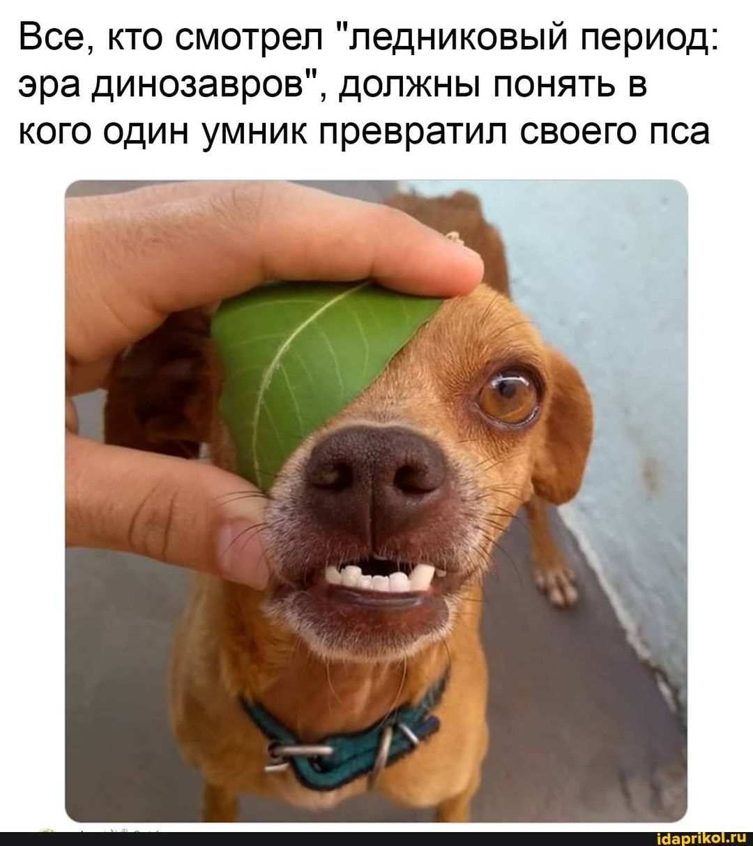 Все, кто смотрел "ледниковый период: эра динозавров", должны понять в кого один умник превратил своего пса