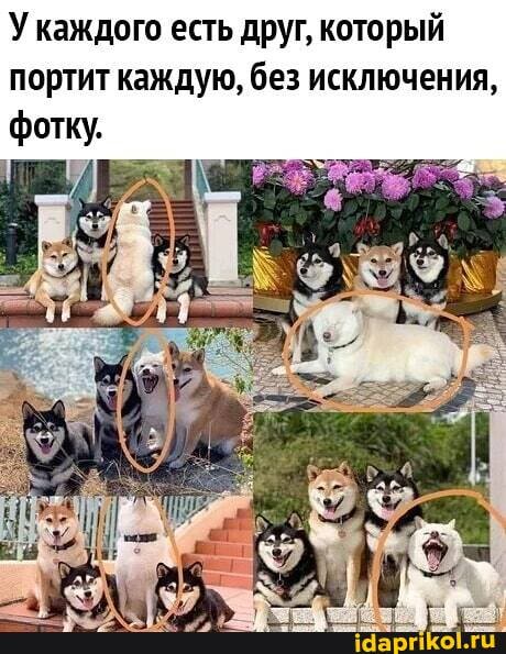 У каждого есть друг, который
портит каждую, без исключения,