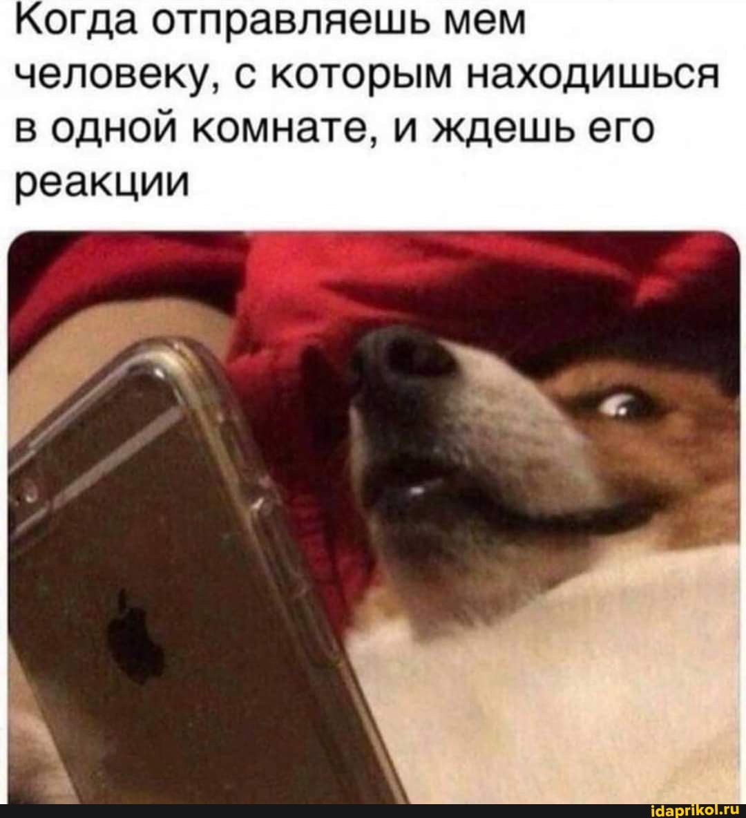 Когда отправляешь мем человеку, с которым находишься в одной комнате, и ждешь его
реакции
