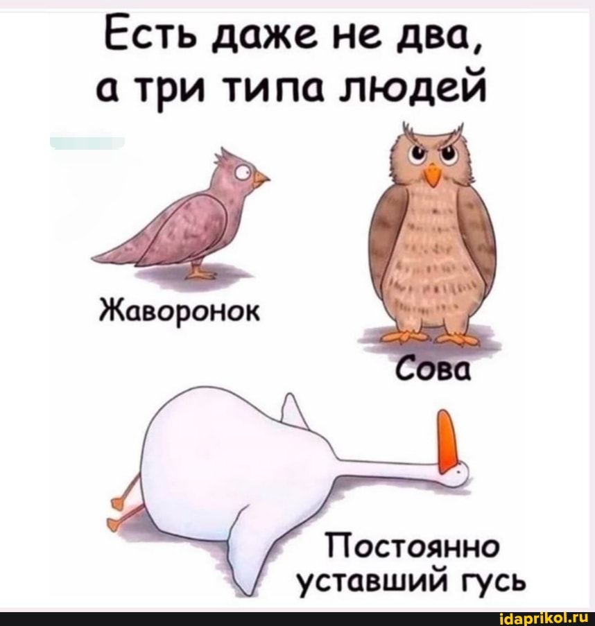 Есть даже не два, а три типа людей
Жаворонок
Сова
Постоянно уставший гусь