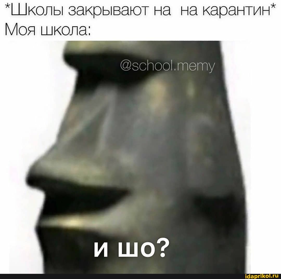 Школы закрывают на на карантин"
Моя школа: