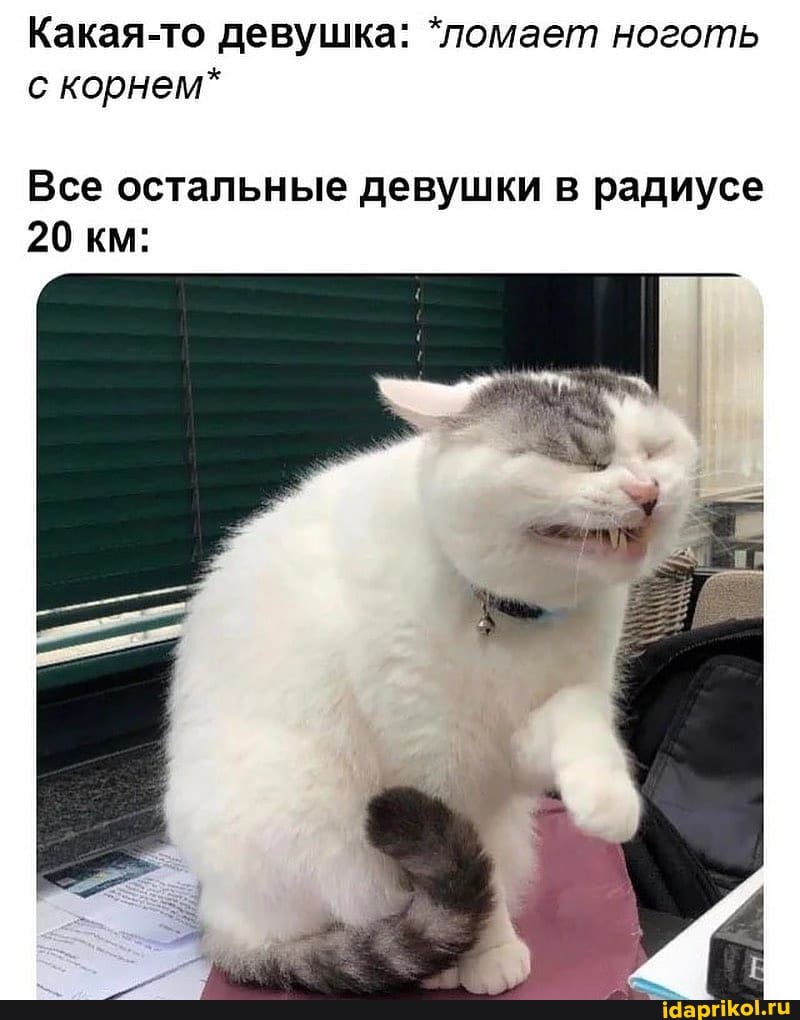Какая-то девушка: "ломает ноготь
с корнем*
Все остальные девушки в радиусе