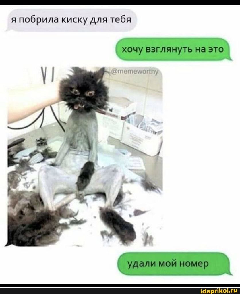 я побрила киску для тебя
хочу вэглянуть На
удали мой номер