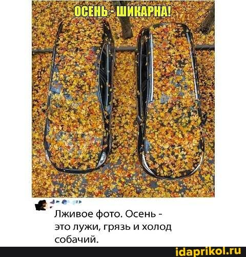 `ОСЕНЬ - ШИКАРНА! ,
Лживое фото. Осень - это лужи, грязь и холод.