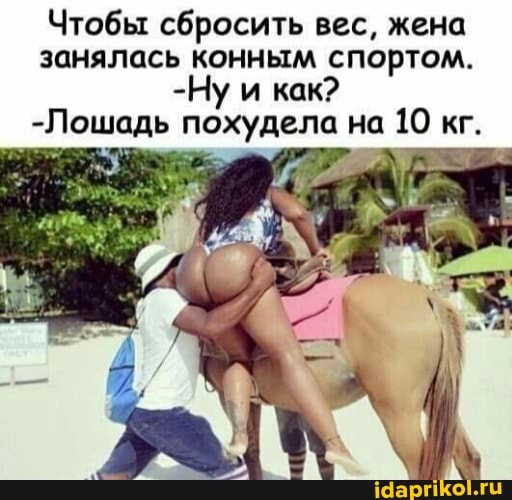 Чтобы сбросить вес, жена занялась конным спортом.
-Ну и как?
-Лошадь похудела на 10 кг.