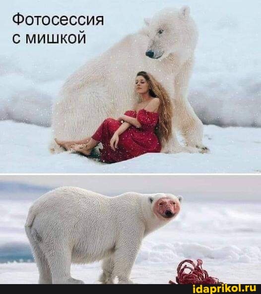 Фотосессия
МИШКОЙ
