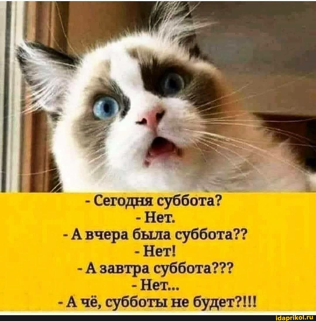 - Сегодня суббота?
- Нет.
- А вчера была суббота??
- Нет!
- А завтра суббота???
- Нет...
- А чё, субботы не будет?!!!