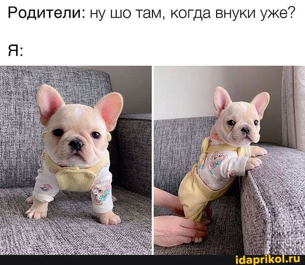 Родители: ну шо там, когда внуки уже?