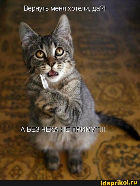 Вернуть меня хотели, да?!
БЕЗ ЧЕКА НЕ ПРИМУИ