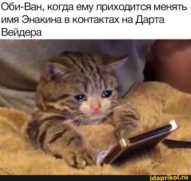 Оби-Ван, когда ему приходится менять имя Энакина в контактах на Парта
Вейдера