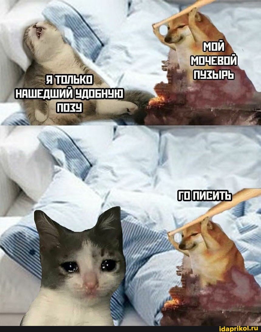 - МСЙ МИЧЕВОЙ!
Я ТВЛЬКО ПУЗЫРЬ НАШЕДШИЙ УДОБНУЮ
ПОПИТЬ