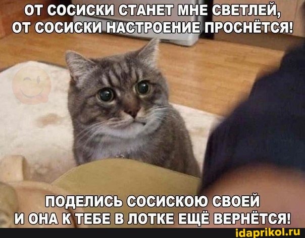 ОТ СОСИСКИ СТАНЕТ МНЕ СВЕТЛЕЙ,
ОТ СОСИСКИ НАСТРОЕНИЕ ПРОСНЁТСЯ!
ПОДЕЛИСЬ СОСИСКОЮ СВОЕЙ И ОНА К ТЕБЕ В ЛОТКЕ ЕЩЕ ВЕРНЕТСЯ!