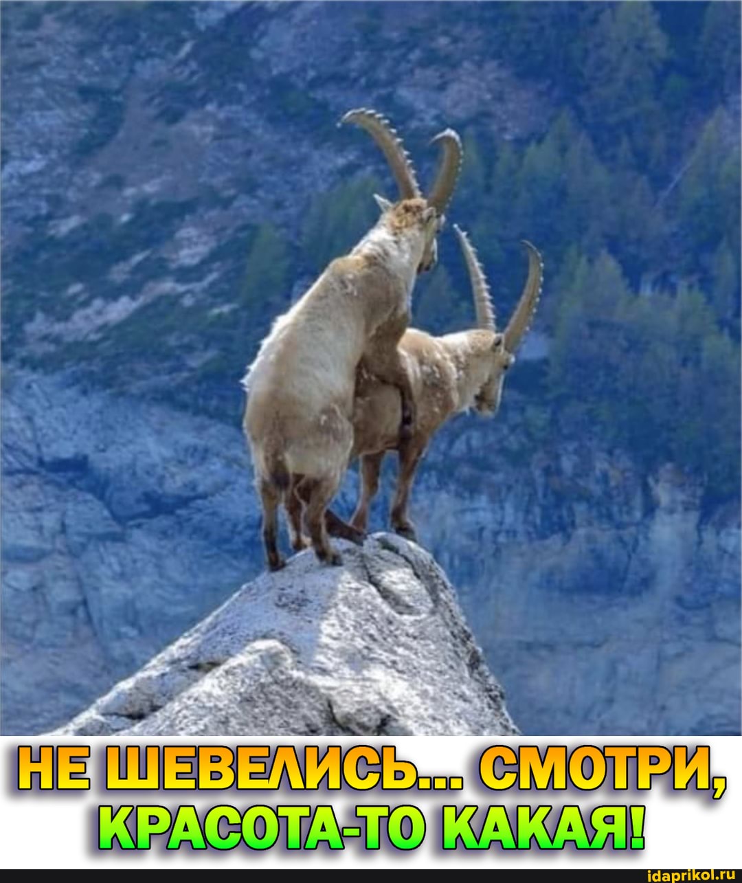 [5 [СО при
КРАСОТА КАКАЯ!