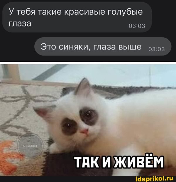 У тебя такие красивые голубые
303 глаза
Это синяки, глаза выше оз
ТАКИ ЖИВЁМ