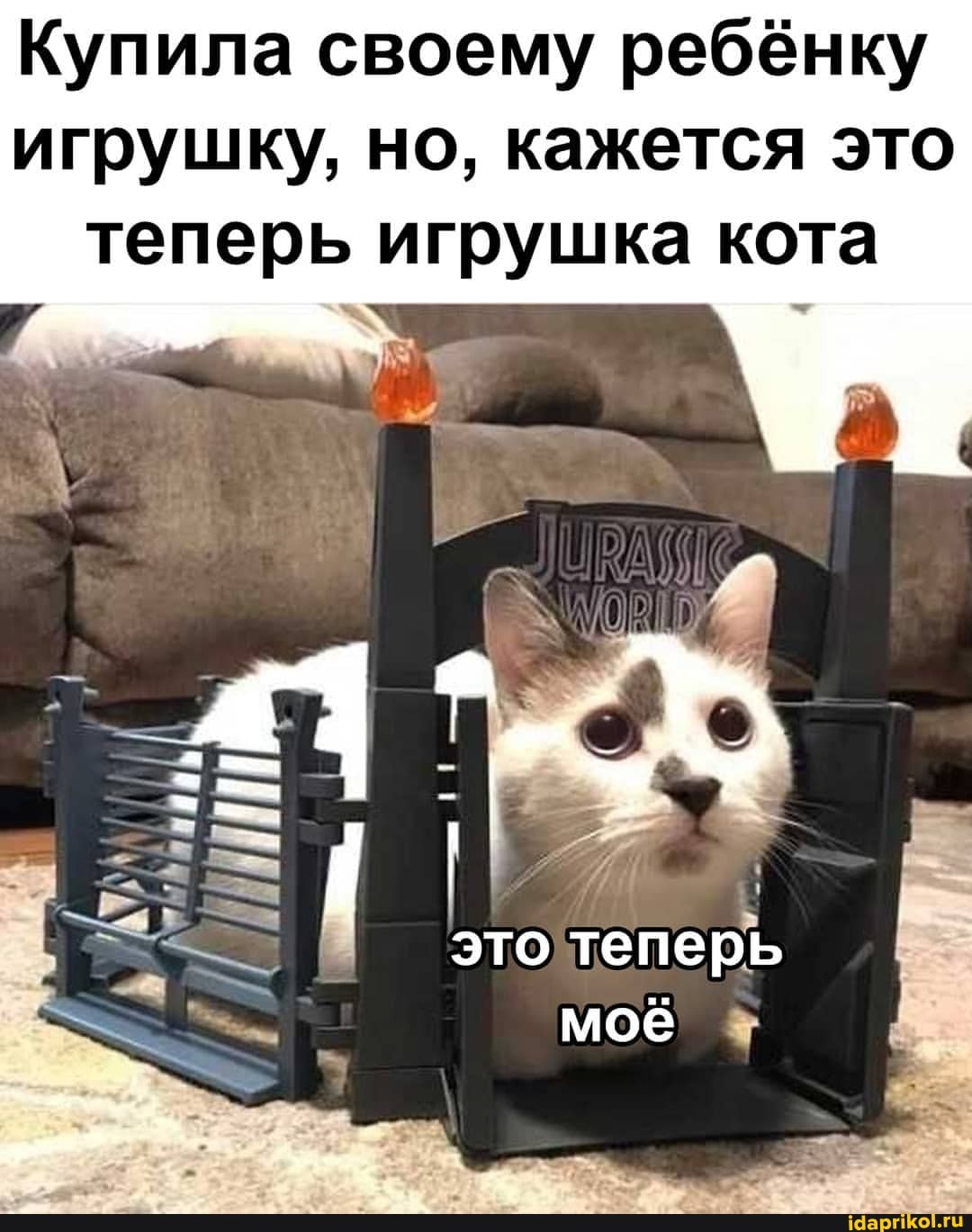 Купила своему ребёнку игрушку, но, кажется это теперь игрушка кота
> у это теперь моё