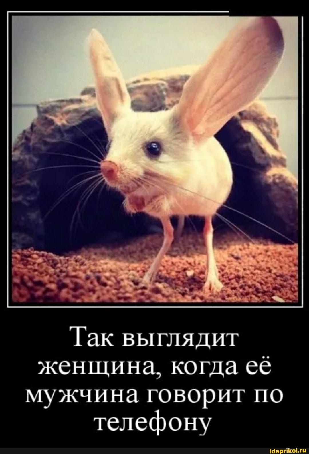 Так выглядит женщина, когда её мужчина говорит по телефону