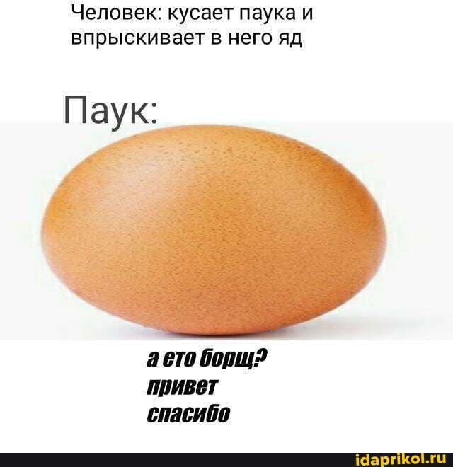 Человек: кусает паука и
впрыскивает в него яд
Паук:
аето борщ?
Ив
спасибо