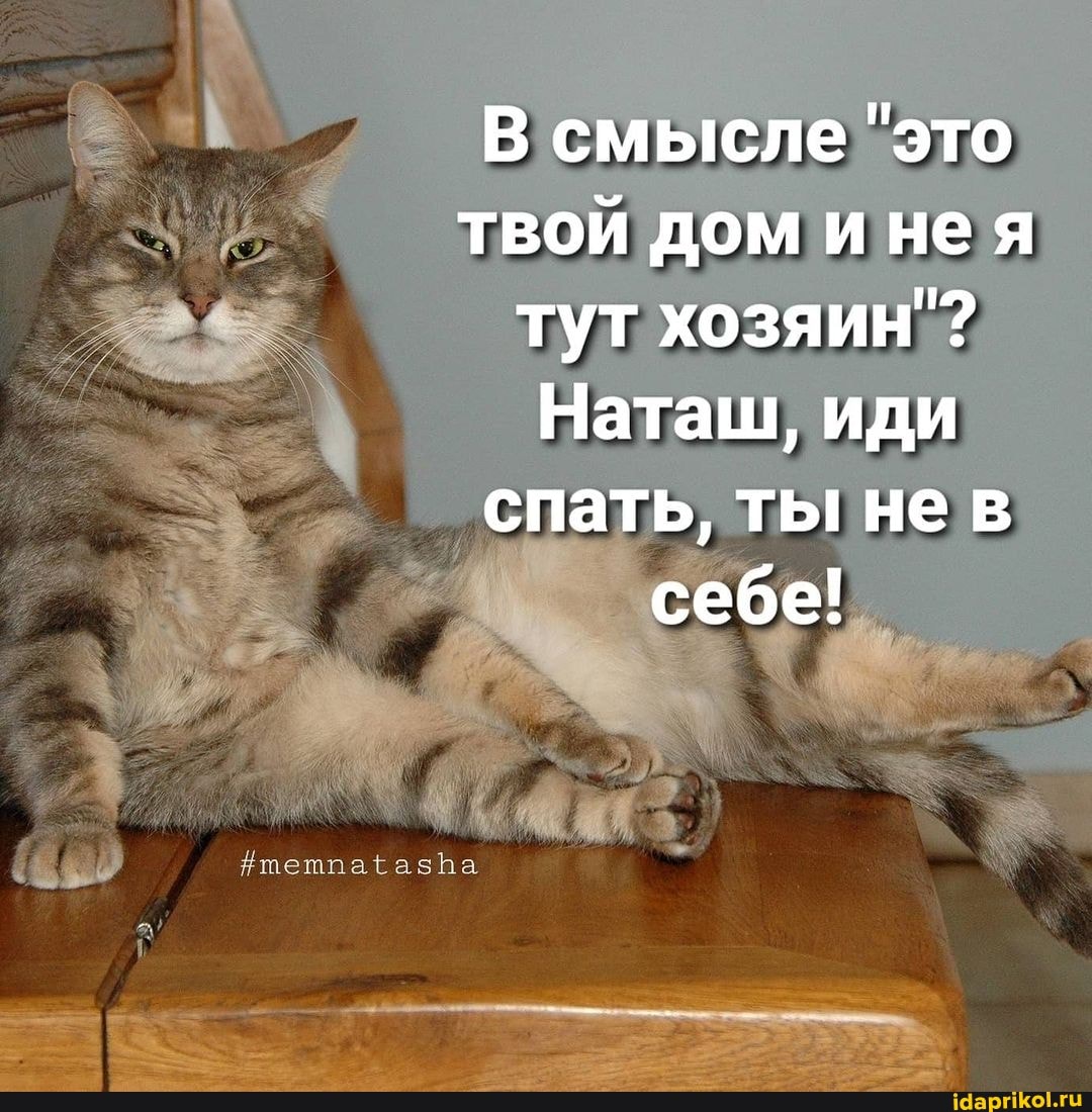 В смысле "это твой дом инея тут хозяин"?
Наташ, иди спать, ты нев себе!