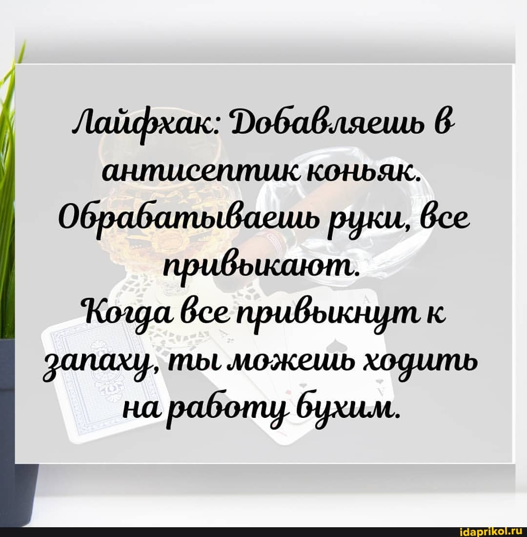 Лайфхак: Фобавляешь
антисептик коньяк.
ОбрабатывВаешь руки, все
Коза все привыкнут к запаху, ты, можешь ходить