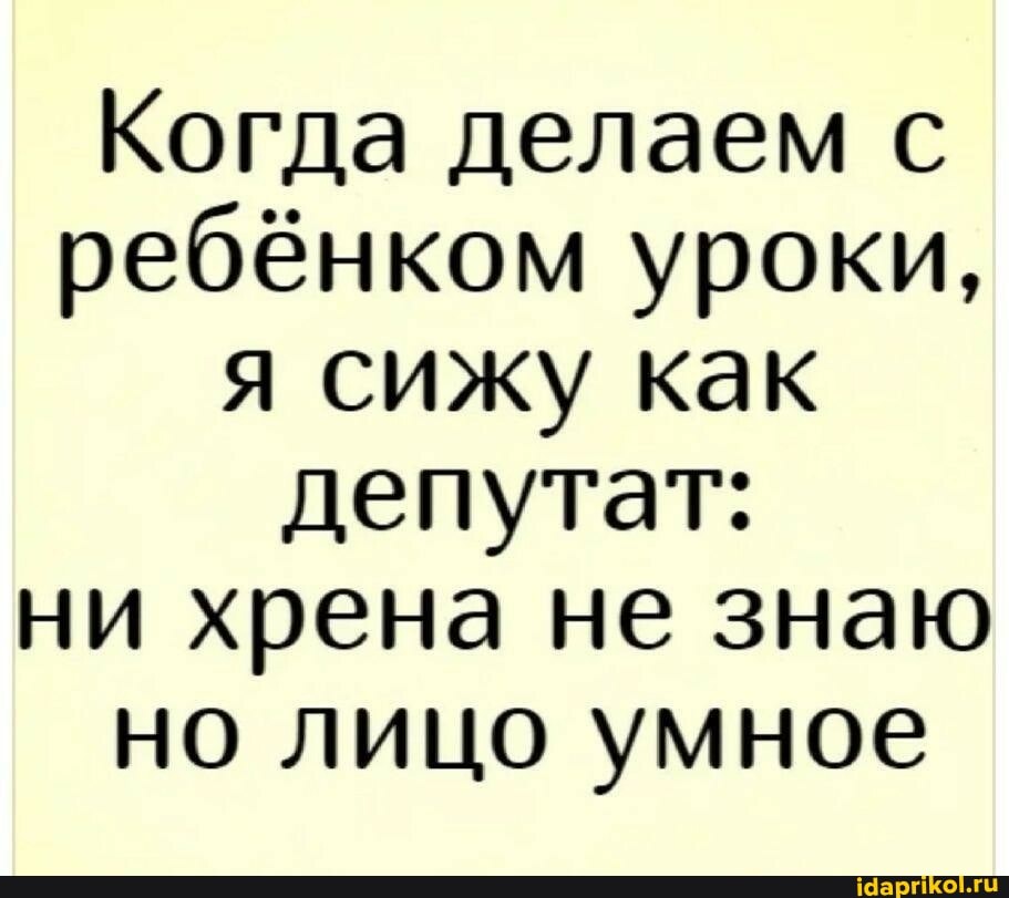 Когда делаем с ребёнком уроки, я сижу как депутат: ни хрена не знаю но лицо умное