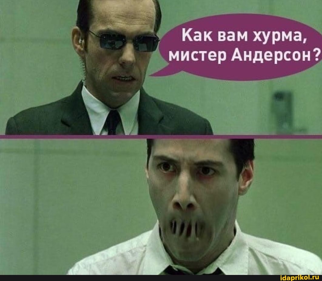Как вам хурма, мистер Андерсон?