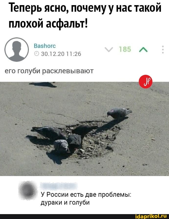 Теперь ясно, почему у нас такой плохой асфальт!
ВазПогс
30.12.20
его голуби расклевывают
У России есть две проблемы:
дураки и голуби