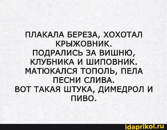 ПЛАКАЛА БЕРЕЗА, ХОХОТАЛ КРЫЖОВНИК.
ПОДРАЛИСЬ ЗА ВИШНЮ,
КЛУБНИКА И ШИПОВНИК.
МАТЮКАЛСЯ ТОПОЛЬ, ПЕЛА ПЕСНИ СЛИВА.
ВОТ ТАКАЯ ШТУКА, ДИМЕДРОЛ И ПИВО.
