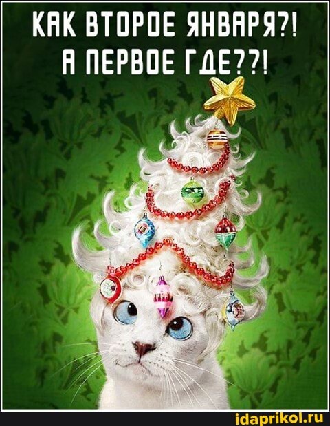 КАК ВТОРОЕ ЯНВЯРЯ?!
Я ПЕРВОЕ ГДЕ?