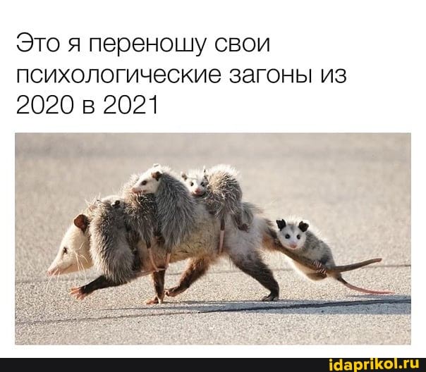 Это я переношу свои психологические загоны из
2020 в 2021