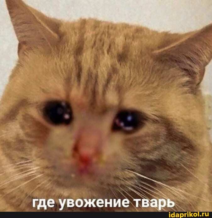 где
увожение тварь