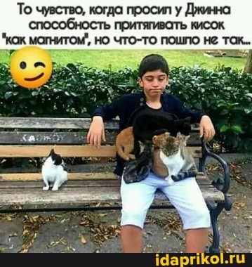 То чувство, когда просил у Джинна способность притягивать кисок.
"как магнитом', но что-то пошло не так.
