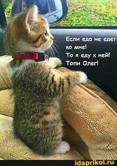 Если еда не едет ко мне!
То я еду к ней!
Топи Олег!