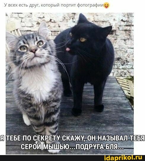 ПО СЕКРЕТУ СКАЖУ, ОН НАЗЫВАЛ ТЕБЯ