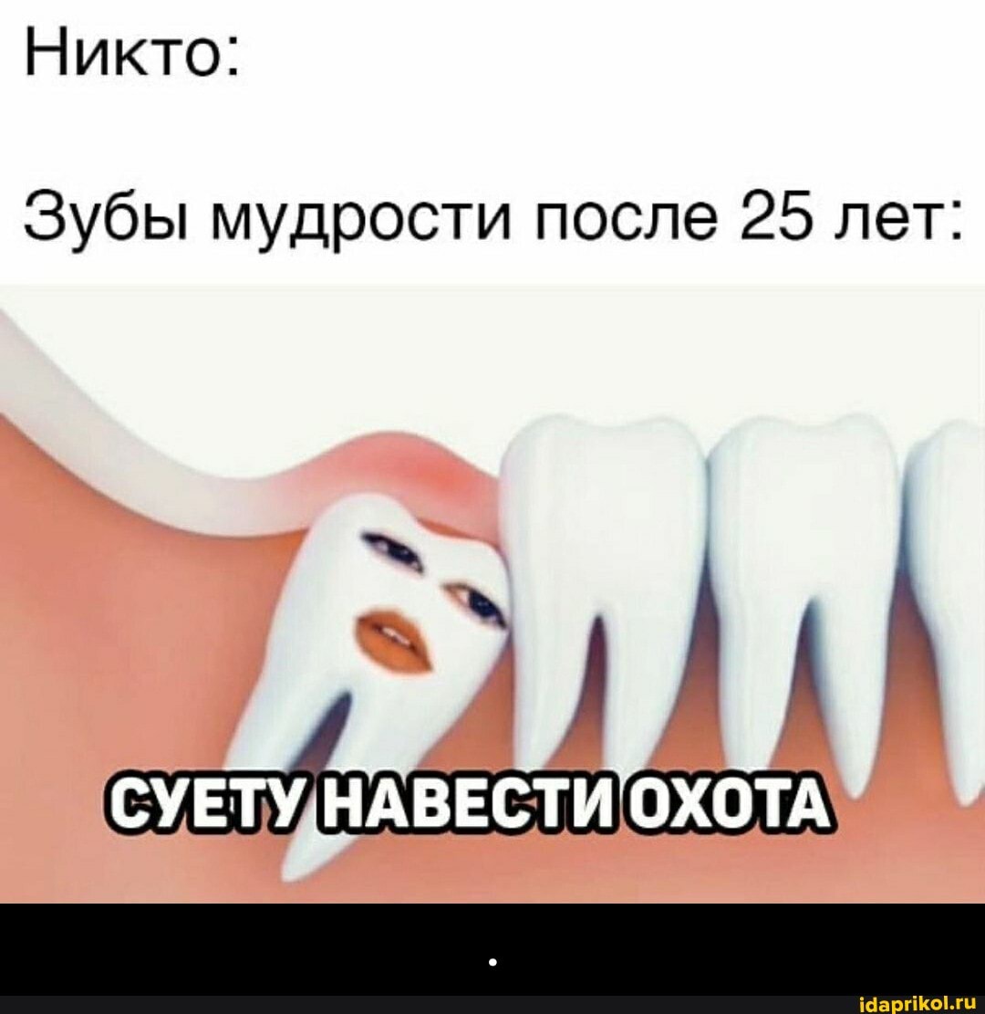 Никто:
Зубы мудрости после 25 лет:
СУЕТУ, НАВЕСТИ ОХОТА - .