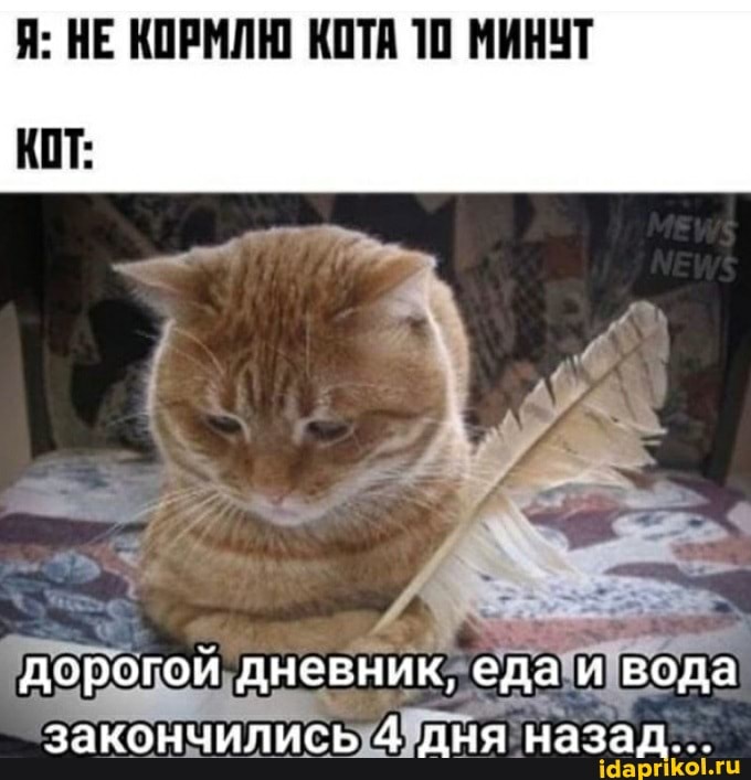 Я: НЕ КОРМЛЮ КОТА 10 МИНУТ
дневник" вода закончились дня назад...