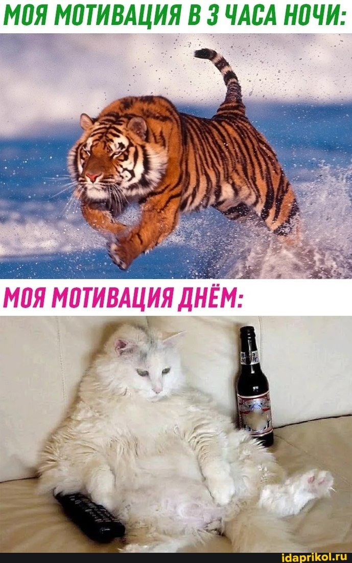 МОЯ МОТИВАЦИЯ В ЧАСА НОЧИ:
