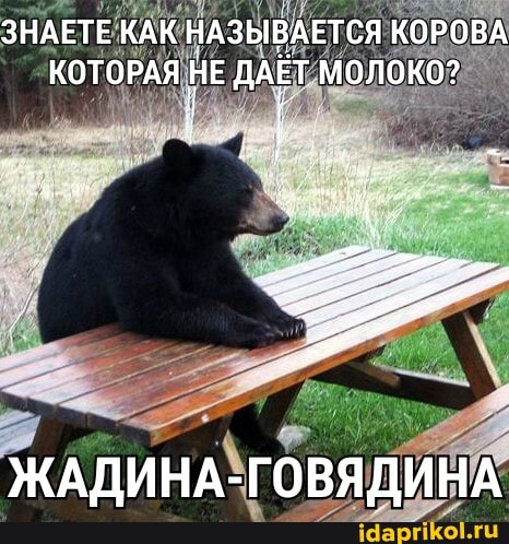 ЗНАЕТЕ КАК НАЗЫВАЕТСЯ КОРОВА КОТОРАЯ НЕ ДАЕТ МОЛОКо?
ЖАДИНА-ГОВЯДИНА