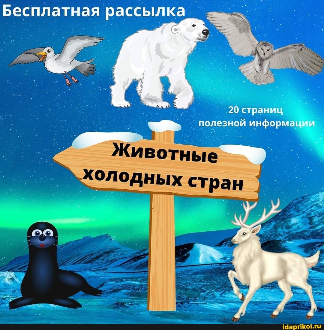 Бесплатная рассылка
20 страниц полезной информации
Животные
олодных стран