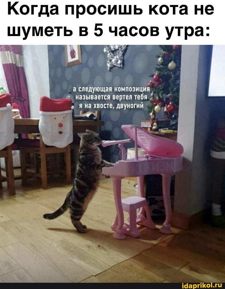 Когда просишь кота не шуметь в 5 часов утра:
а следующая композиция называется вертел тебя яна хвосте, двуногий
