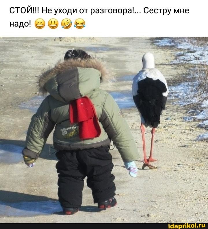 СТОЙ!!! Не уходи от разговора!... Сестру мне
надо!
9%
