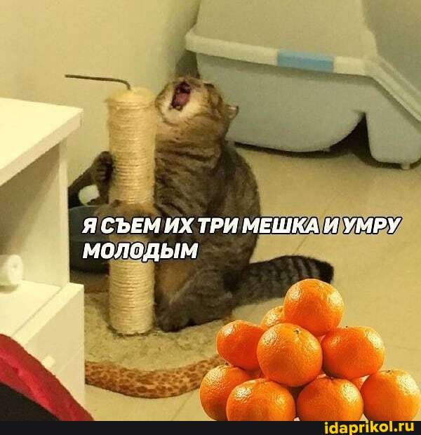 Я СЪЕМ ИХ ТРИ МЕШКА И УМРУ молодым